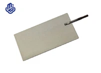 Electrode Platinwm Ar gyfer Ionizer Dŵr