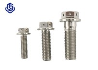 Titanium Hole Flange Bolt